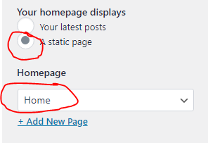 Static page used as custom WordPress homepage.