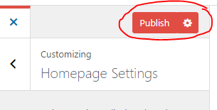 Publish button WordPress customizer